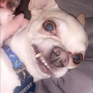 Meet your Posher, Cloe